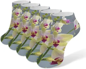 Colorful Orchids Flower Socks No Show Socks Low Cut Anti-Slid Athletic Casual Invisible Liner Socks Unisex
