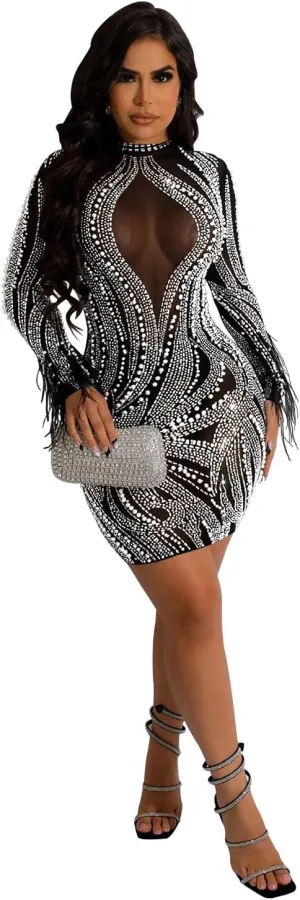 Sexy Dresses for Women Party Club Night Elegant Long Sleeve Feather Detailed Sheer Mesh Mini Vestidos